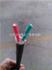 天津市電纜總廠橡塑電纜廠其他電纜產品展示 品質與創新的典范